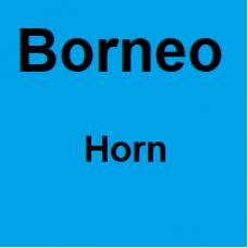 Borneo Horn - 1 Kilo - Starting at € 45,- per kilo Borneo Horn - 1 Kilo - Starting at € 45,- per kilo